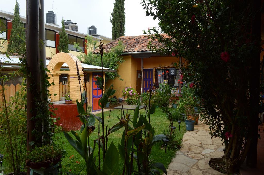 לינה וארוחת בוקר San Cristóbal de Las Casas Jaguar You מראה חיצוני תמונה