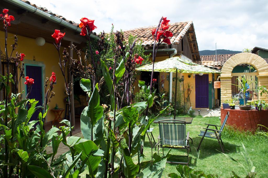 לינה וארוחת בוקר San Cristóbal de Las Casas Jaguar You מראה חיצוני תמונה